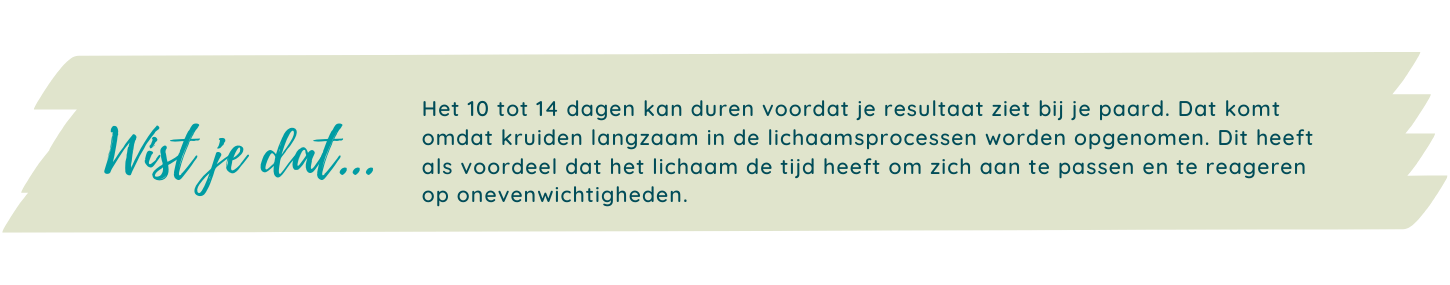 Wist je dat...Zomerkruiden
