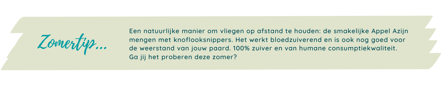zomertips 2