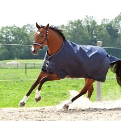 Montreal Turnout Rug 100gr Navy