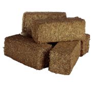 Le Brick - 28219