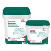 PrimeVal Gelatinaat Paard - 26839