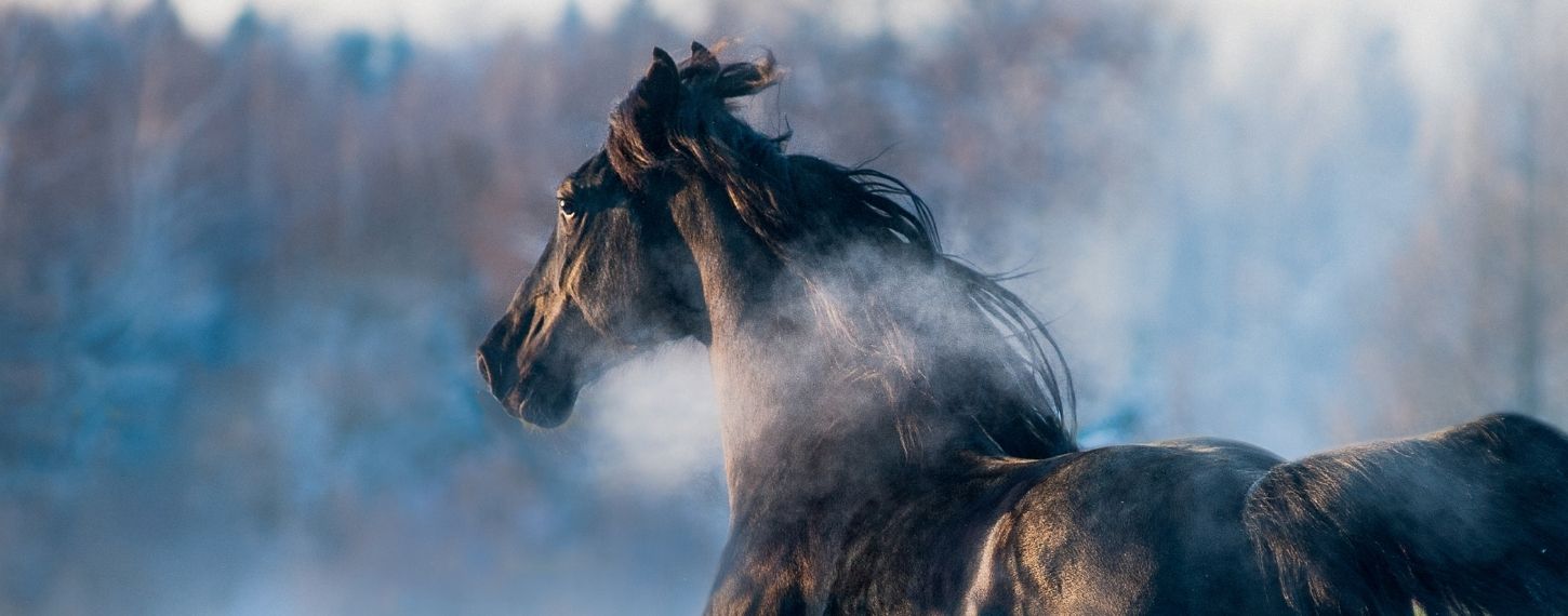 header_luchtwegen_2