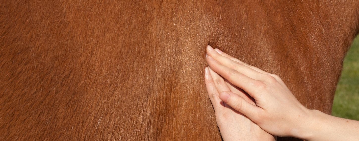 header_massage_van_de_spieren_1